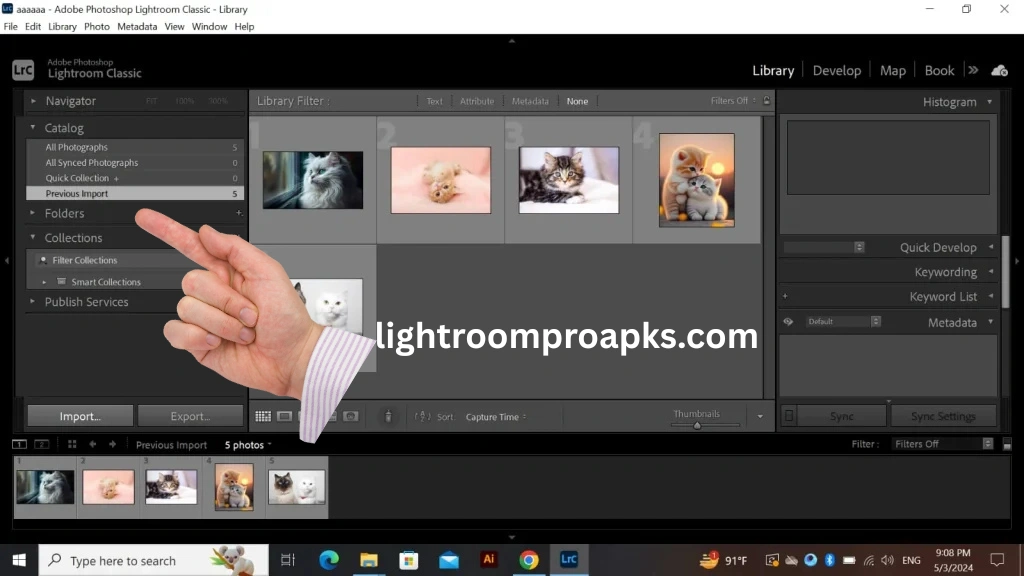 Screenshot of Adobe Lightroom Classic library module showing photo catalog and collections panel.