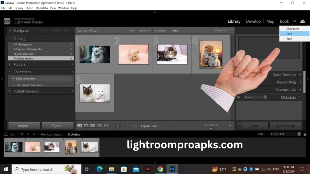Screenshot of Adobe Lightroom Classic showing photo library management with import and export options.