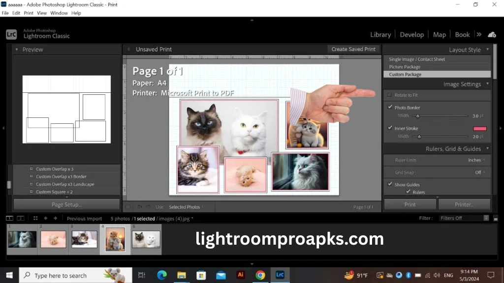 Screenshot of Adobe Lightroom Classic custom print package showing multiple cat photos arranged in a collage layout.