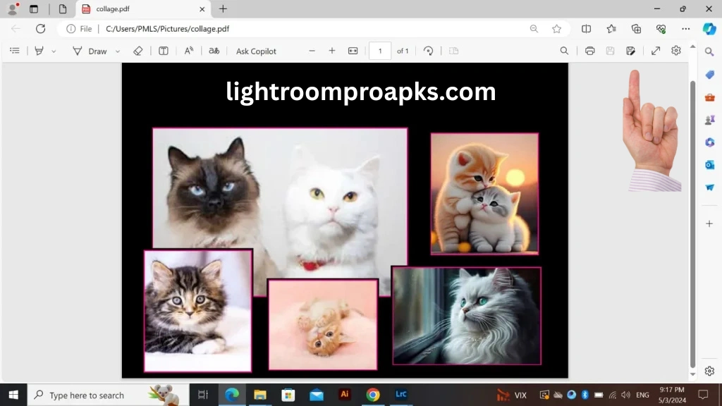 Collage of multiple cat photos created in Adobe Lightroom Classic with custom layout design.