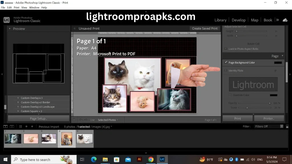 Screenshot of Adobe Lightroom Classic print module with custom collage and background color settings enabled.