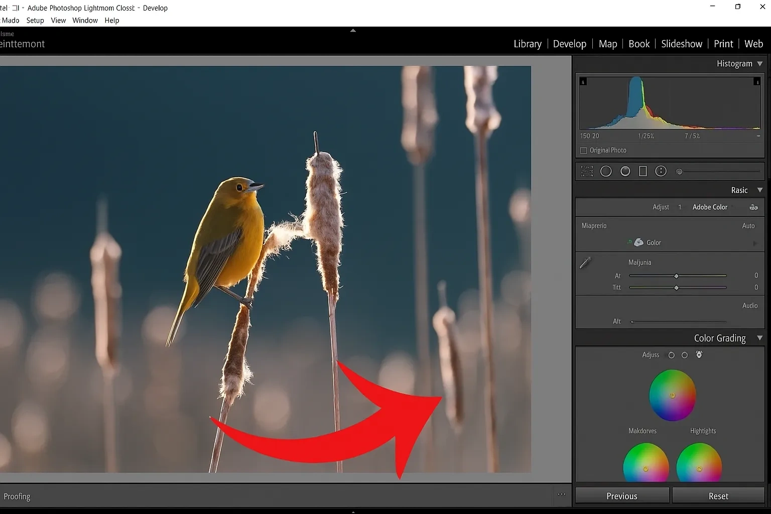 Adobe Lightroom screenshot showing the color grading panel with highlights, midtones, and shadows adjustment wheels visible.