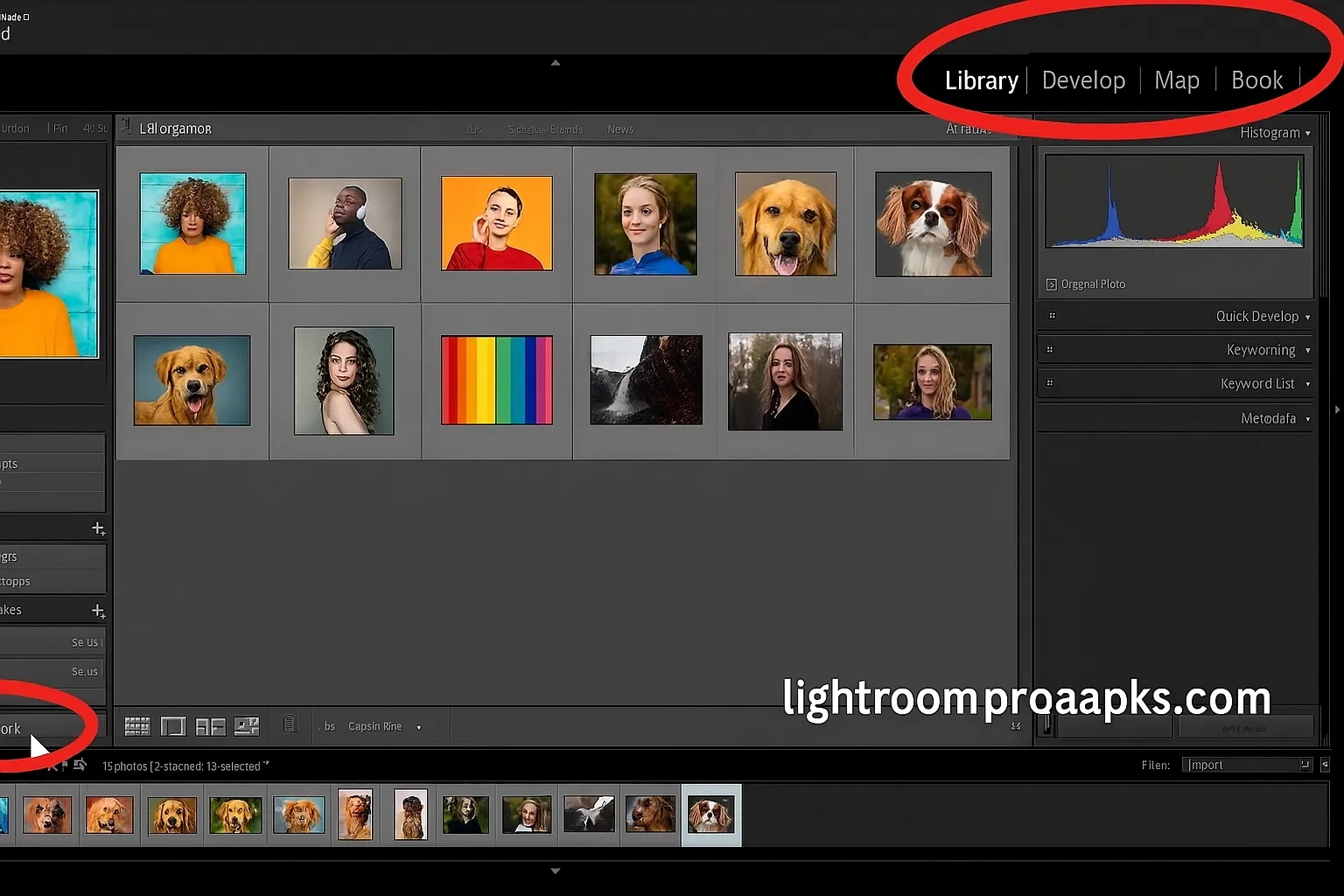 Screenshot of Adobe Lightroom interface showing library and develop modules with photo thumbnails and histogram panel.