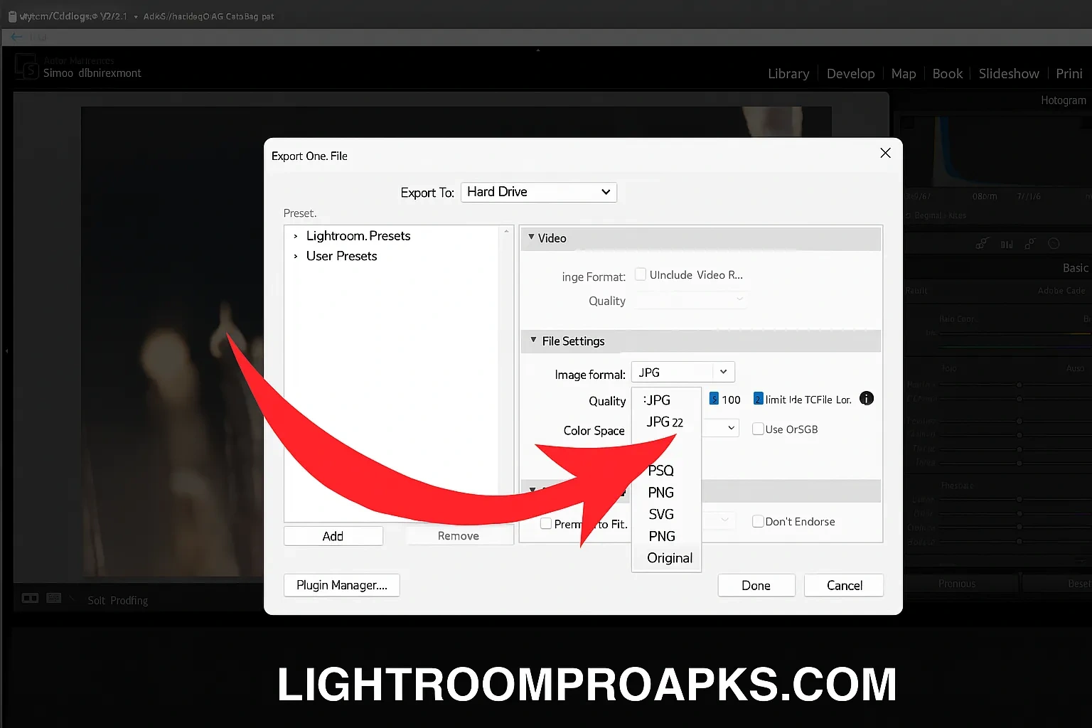 Adobe Lightroom export settings panel with file format options like JPG and PNG highlighted for saving edited photos.
