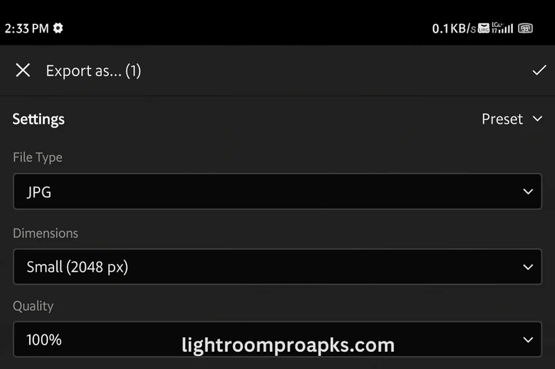Screenshot of Adobe Lightroom export settings showing file type JPG, dimensions set to 2048px, and quality at 100 percent.